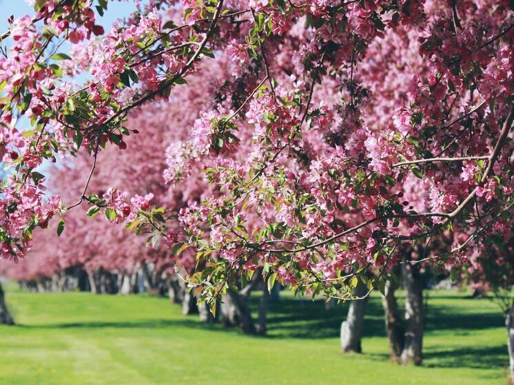  24 мая на территории Смоленской области ожидается переменная облачность