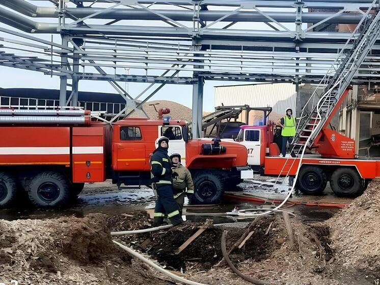За сутки в Томской области потушили более 10 пожаров