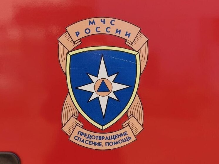 Спасатели помогли выбраться из леса сборщице папоротника в Хабаровском крае