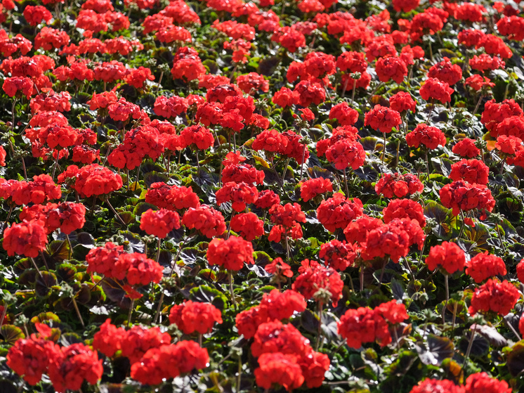 В Волгоградской области 24 мая потеплеет почти до +30 градусов