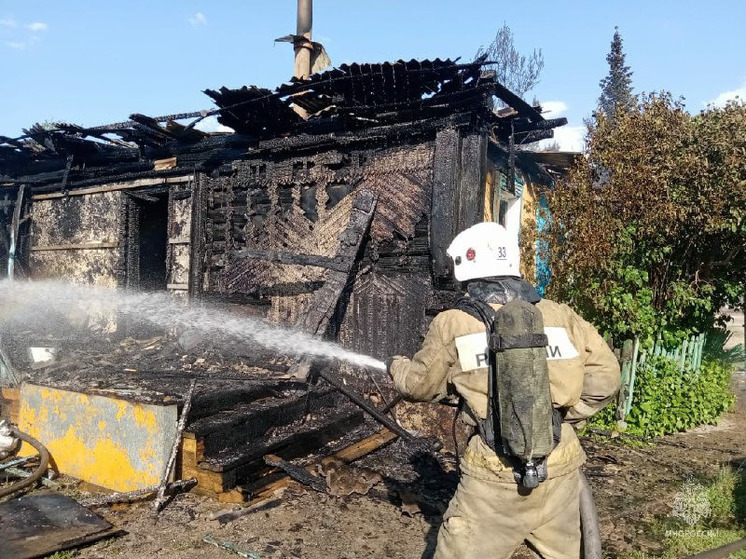 При пожаре в алтайском селе погибла бабушка