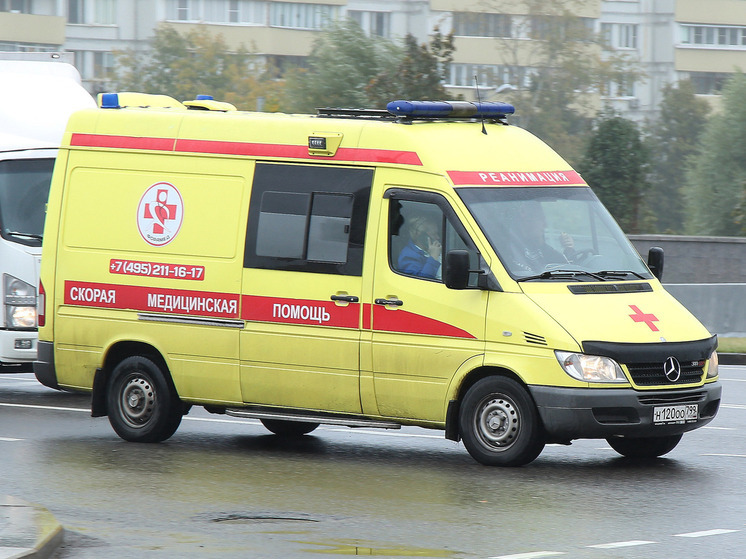 Детей, пострадавших в аварии на трассе М-12, доставили в больницы Москвы