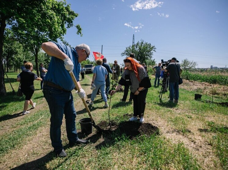 В Мариуполе высадили яблоневый сад