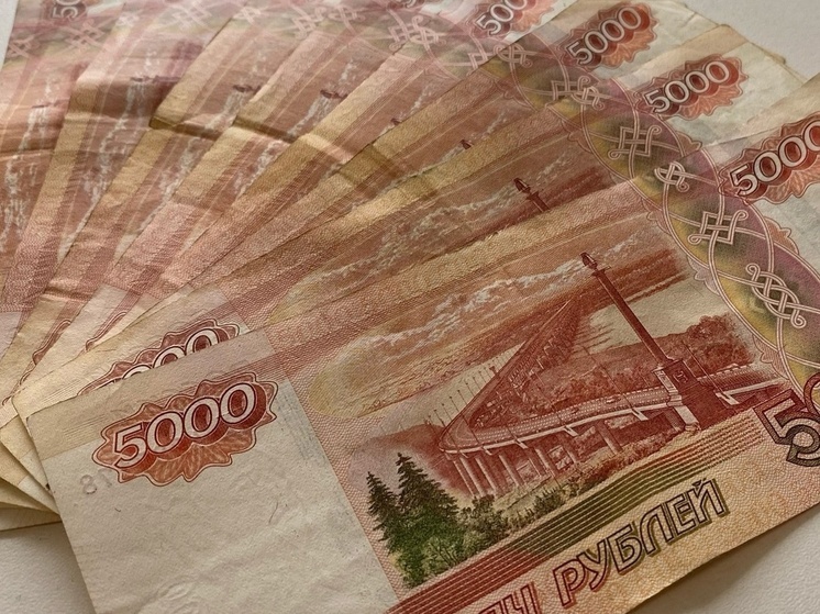 В Новосибирске с 25 мая начнёт работать реестр должников по алиментам