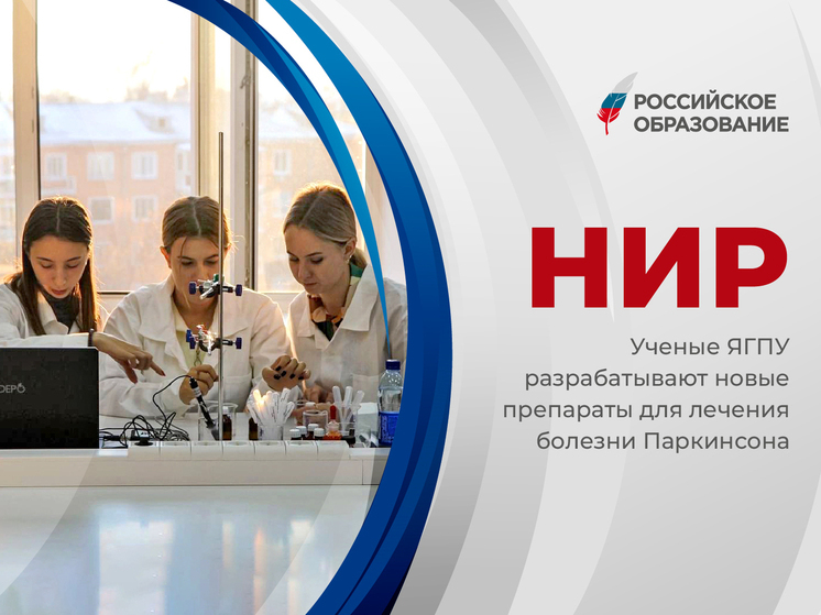 В ЯГПУ разработали новое лекарство от болезни Паркинсона