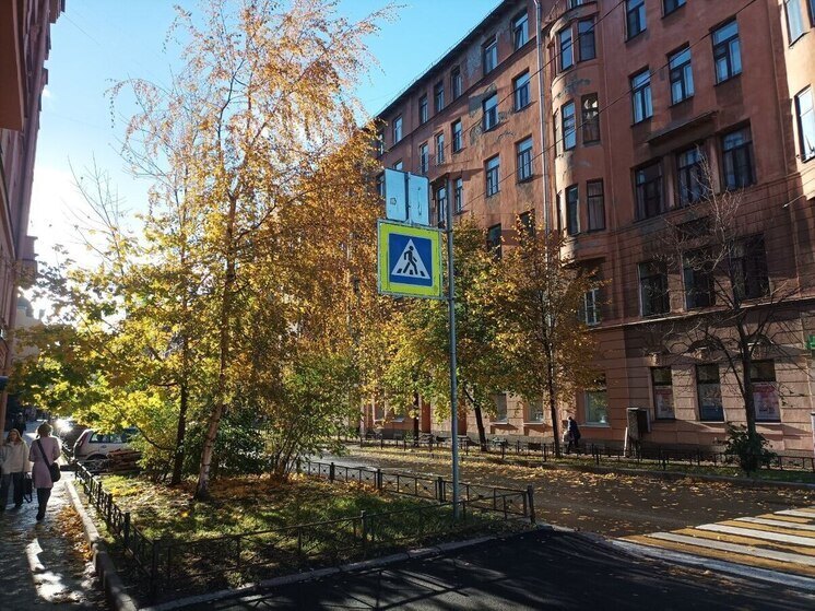 В Пушкине водитель сбил ребенка на пешеходном переходе