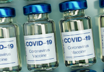  Как-то незаметно прошла новость о том, что виновник пандемии коронавируса Covid-19, унесший жизни минимум 7 млн человек, найден