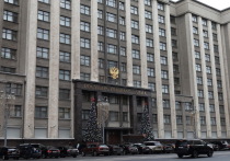 Полностью запретить продажу невозвратных авиабилетов предложили в нижней палате российского парламента