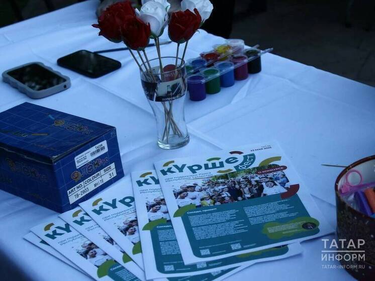 В Казани дан старт проекту «Курше фест», инициированному Раисом РТ в рамках программы «Наш двор»