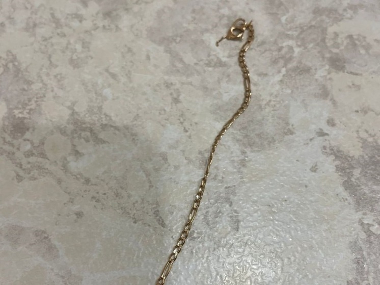 Волгоградец напал на пенсионерку на улице и похитил золотую цепочку