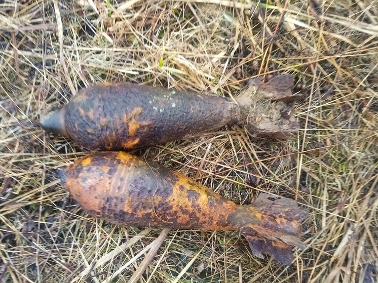 В Ельне обезвредили четыре минометные мины времен войны