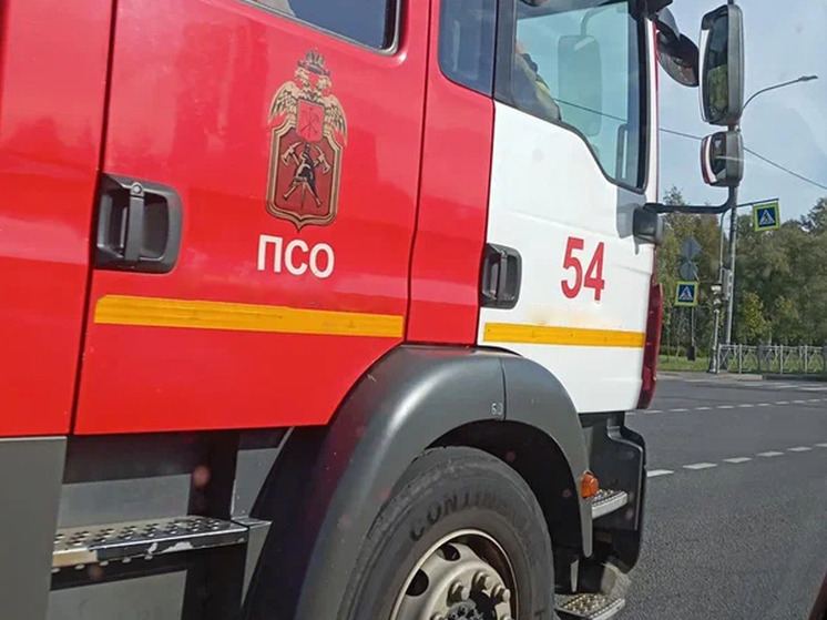 Во Дворце Валдайского округа сгорели дом и хозпостройки