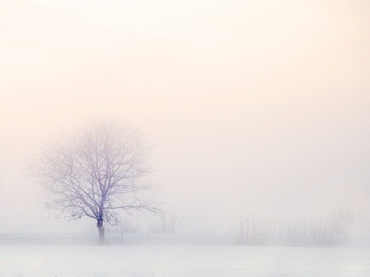 В Усть-Камчатском районе выпал снег