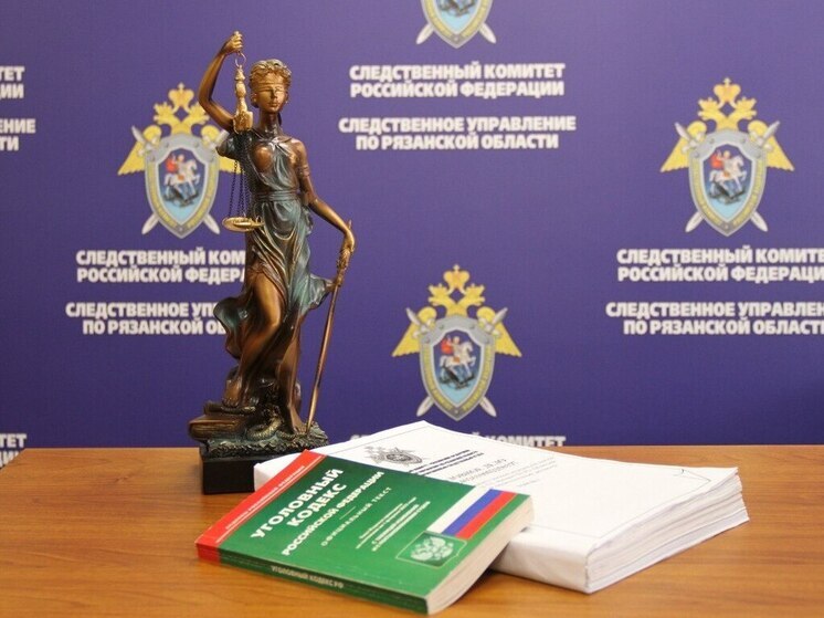 Бастрыкин затребовал доклад по делу о нападении на участника СВО в Рязани