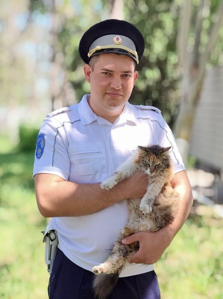 Абинский полицейский спас кошку от стаи собак