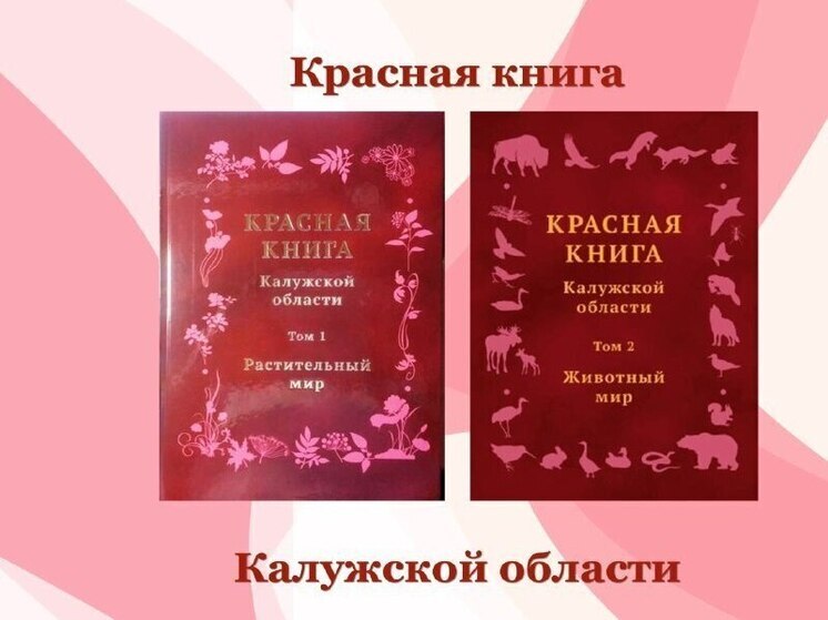 Русская выхухоль оказалась на грани исчезновения в Калужской области