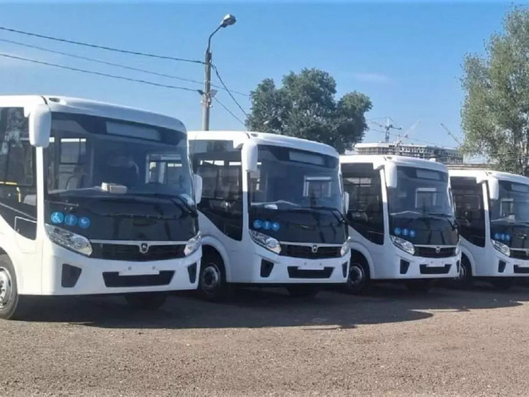 Пять автобусных маршрутов изменят в Воронеже
