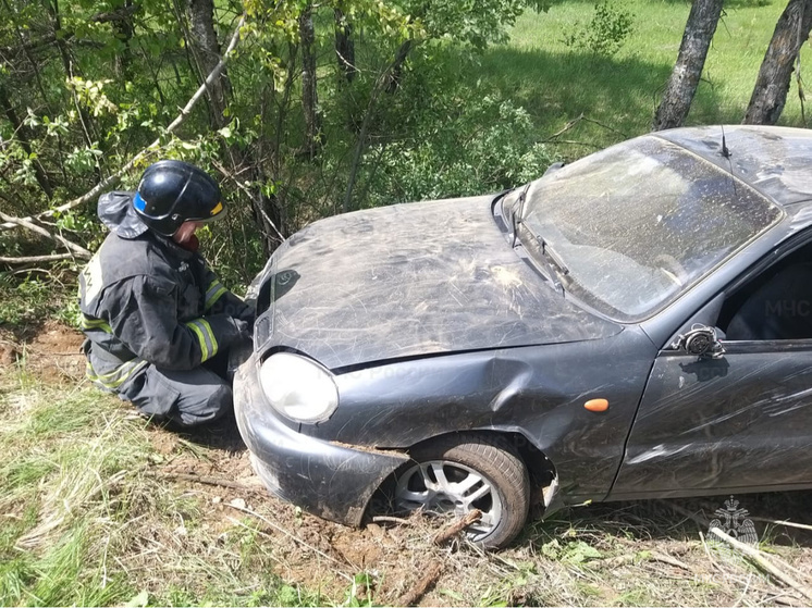 Под Людиново автомобиль съехал в кювет: есть пострадавший