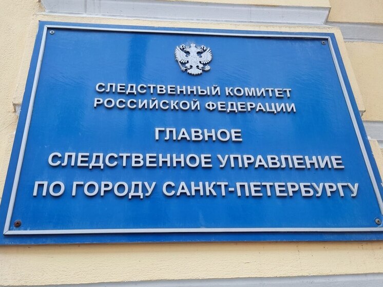 Инцидент с отбитой почкой ребенка на детской площадке в Петербурге дошел до главы СК