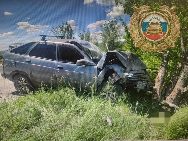 В Новобурасском районе водитель влетел в дерево