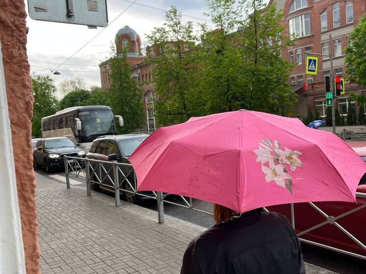 В МЧС предупредили о грозе с градом и штормовом ветре вечером 24 мая