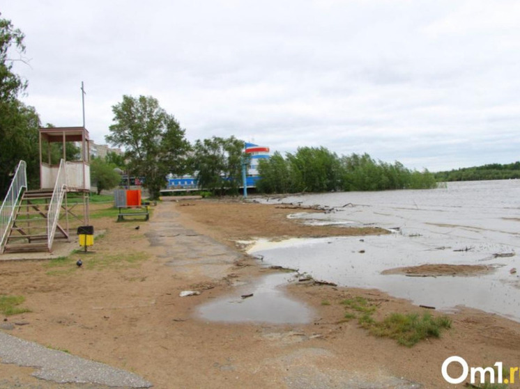 В этом году Иртыш снова полноводен