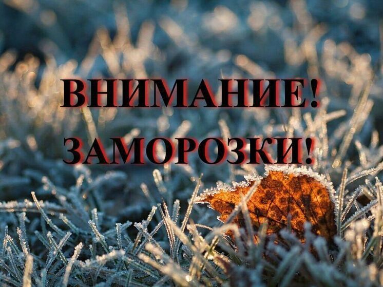 Ночью в Башкирии ожидаются заморозки до -5 градусов