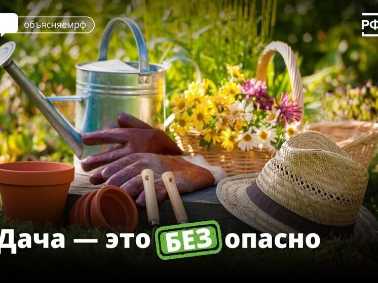 Безопасность на даче: каким важным советам нужно следовать псковичам
