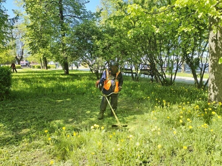 В Кинешме подрядчики заработали триммерами