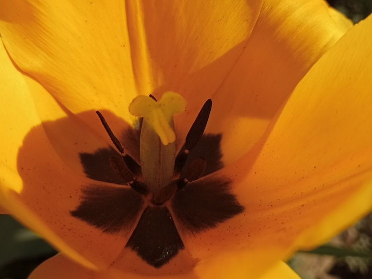 Что нельзя делать саратовцам 25 мая