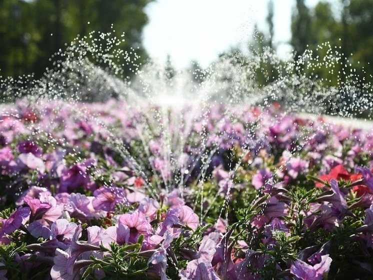 Волгоградцы узнали, как изменится их жизнь с 1 июня 2025 года