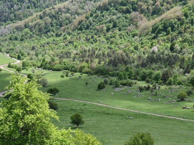 И снова сенсация: археологи «Наследия» обнаружили в горах Ингушетии следы древнего поселения