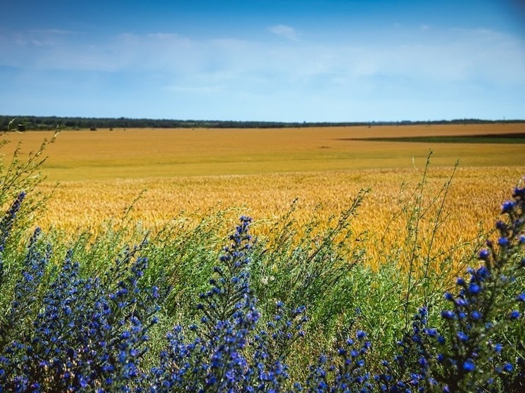 Народные приметы на 25 мая: что не следует делать в Епифанов день