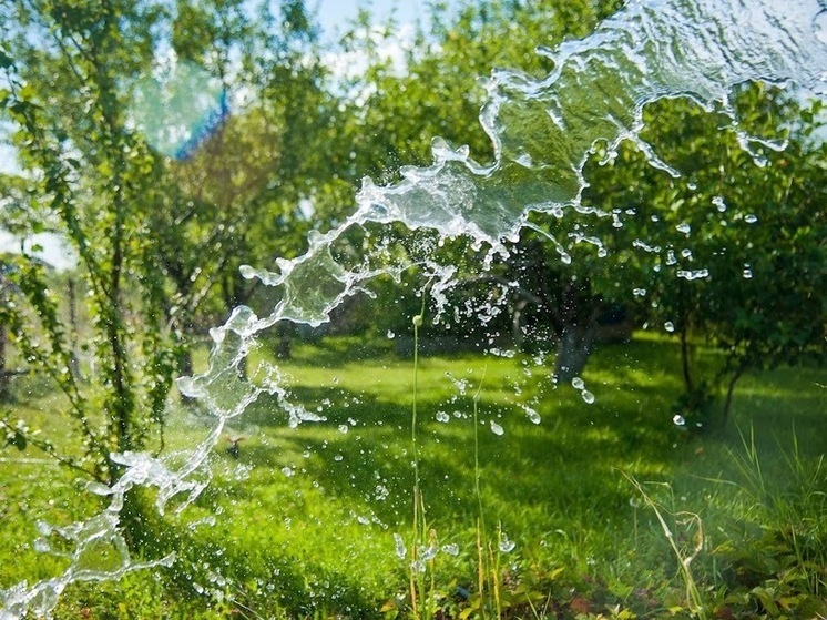 В Волгоградской области 25 мая обещаю теплую без осадков погоду