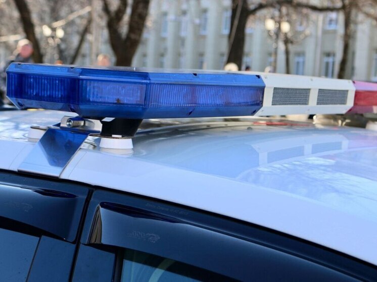 В столице Ингушетии двоих детей сбили на пешеходном переходе