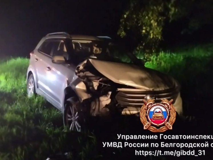 71-летний водитель наехал на стоявший на обочине автомобиль: два человека пострадали