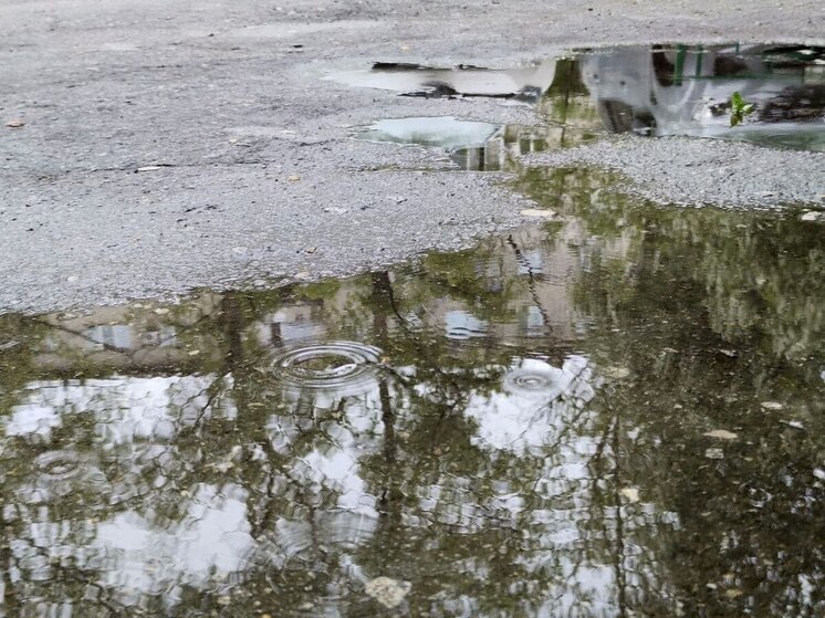 Приморцы ожидают дождь, грозу и до +21 градуса на 25 мая