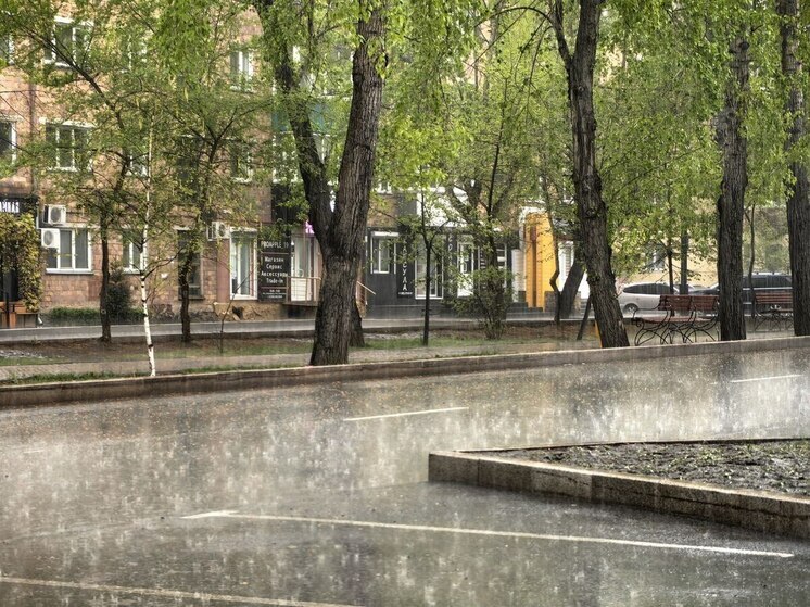 Синоптики Хакасии пообещали сильный ветер, ливни и град