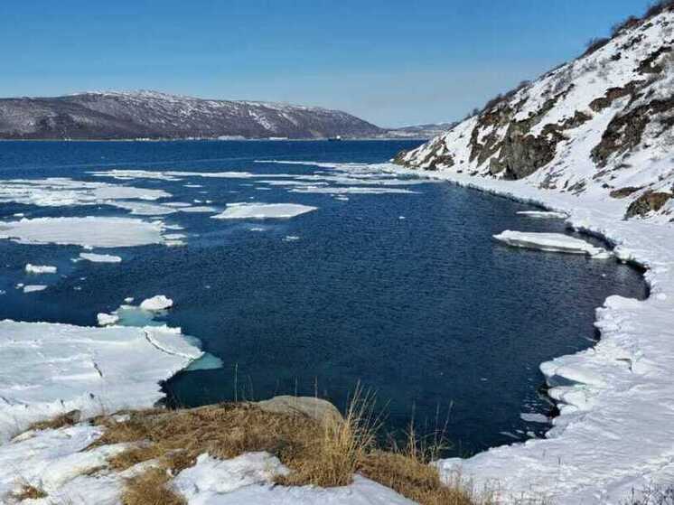 Краснокнижного кита снял на квадрокоптер в Охотском море дальневосточный фотограф