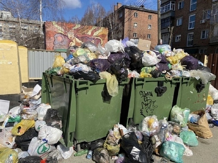 В Новосибирске участились случаи поджогов мусорных баков