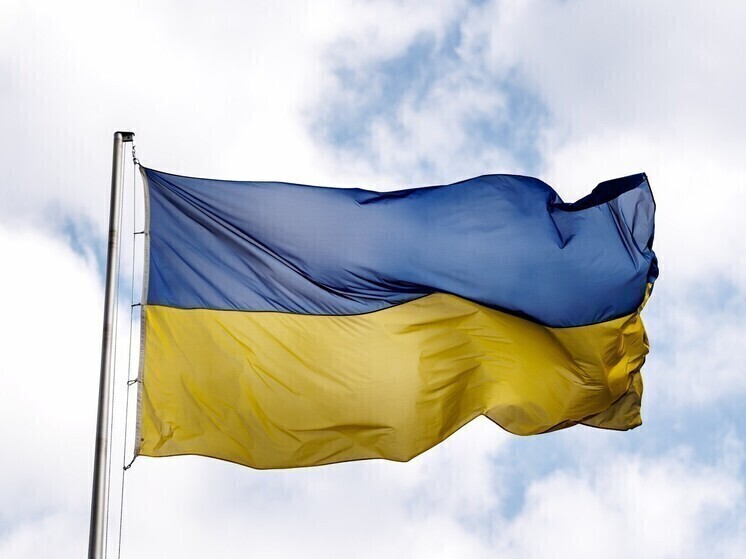 В Германии признали суровую логику выживания украинских боевиков