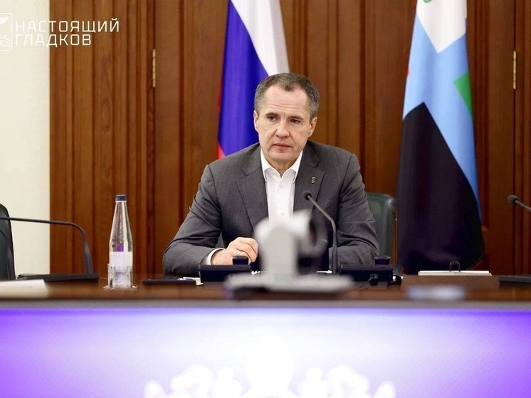 Белгородский губернатор: 80 % вернувшихся ветеранов СВО трудоустроены