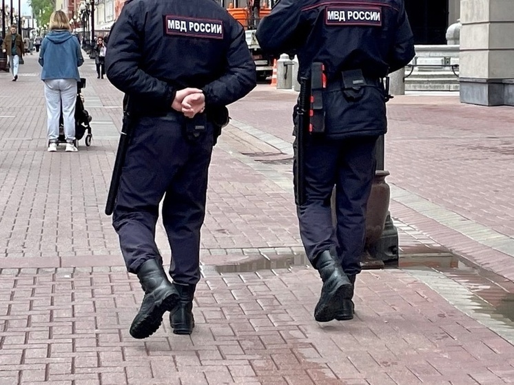 В Омской области за сутки возбуждено 41 уголовное дело и выявлено более 600 административных нарушений