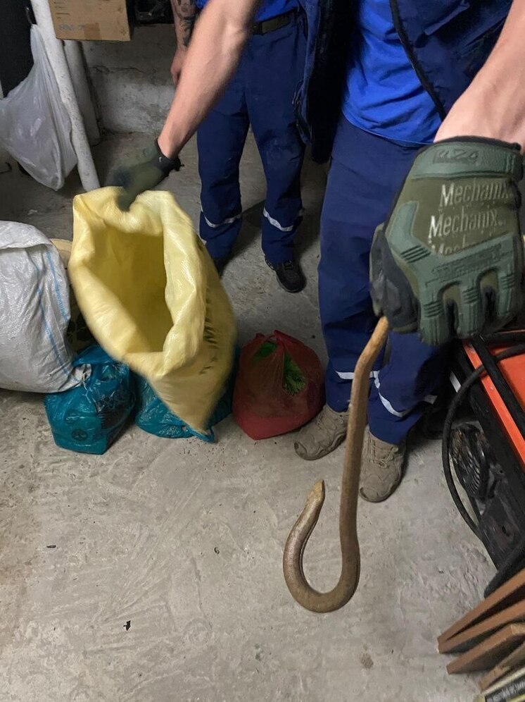 В подвал частного дома в Новороссийске забралась змея