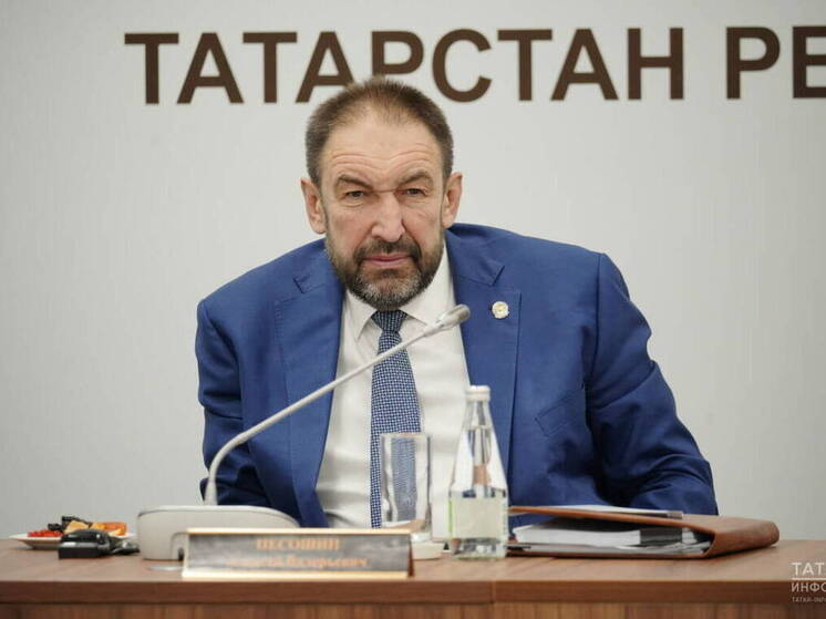 В Татарстане рабочая группа наведет порядок в сфере самоуправления