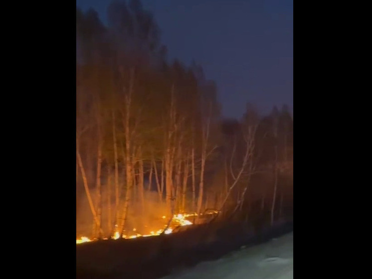 Забайкальцы обеспокоены подошедшим к федеральной трассе лесным пожаром