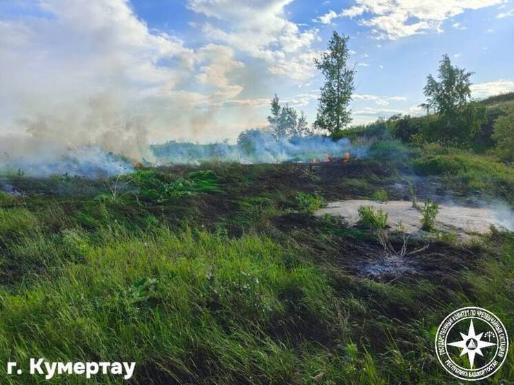 За сутки в Башкирии дважды горела сухая трава