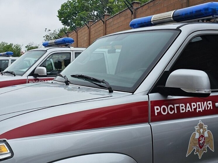 Севастопольские росгвардейцы задержали пьяного дебошира в кафе