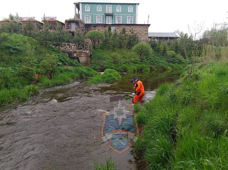 В деревне Энколово в реке Охте плавал труп с мобильным телефоном в кармане
