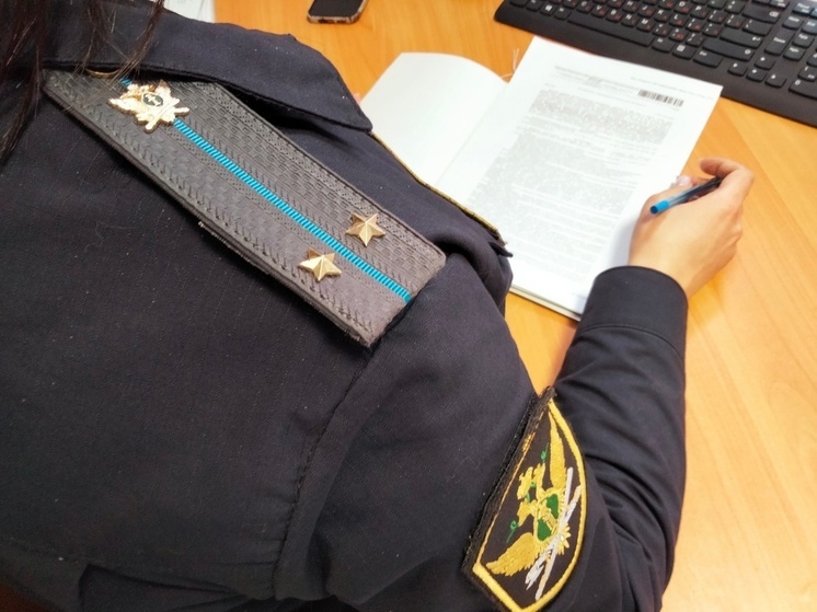 В Ленобласти судебные приставы оштрафовали МФО за травлю клиента